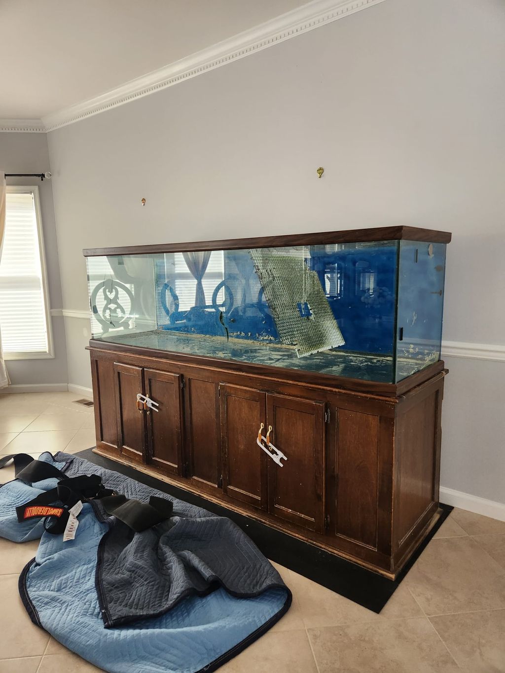 A large aquarium set on a wooden cabinet in a finished room.